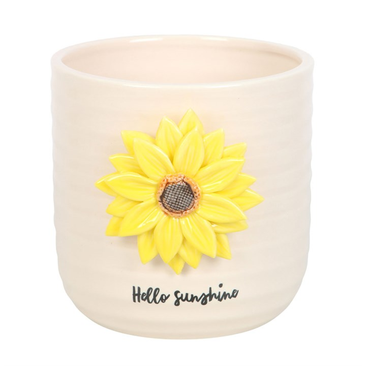 Sunflower plant pot
