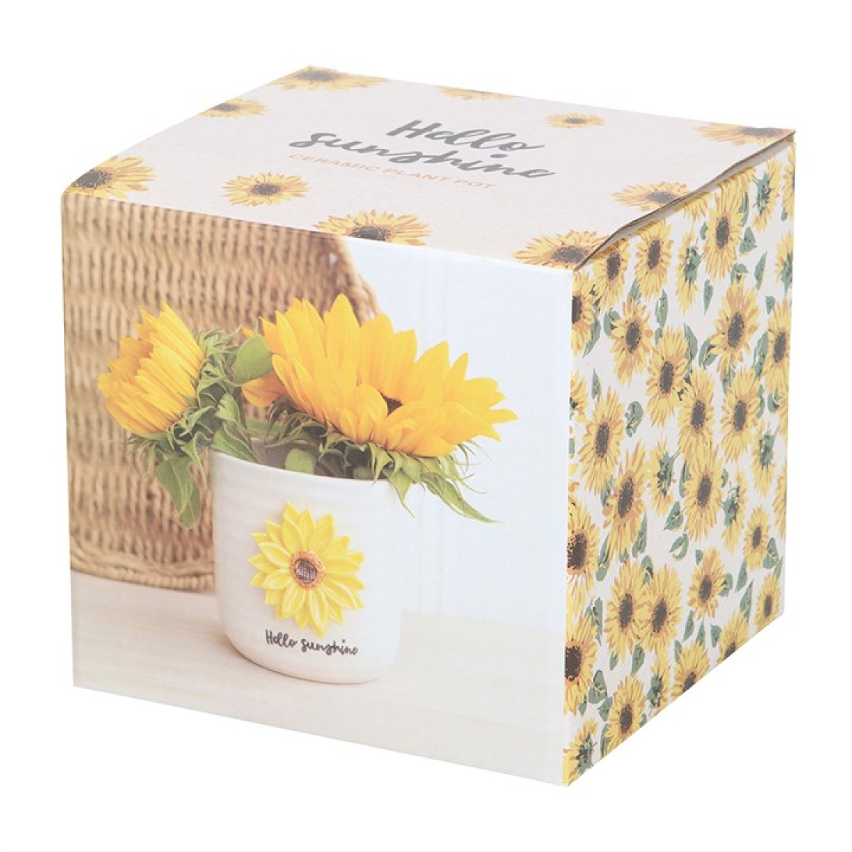 Sunflower plant pot