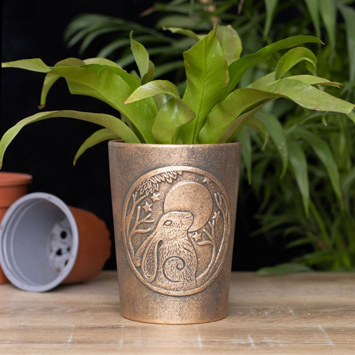 Moon Gazing Bronze Terracotta Plant Pot Parker