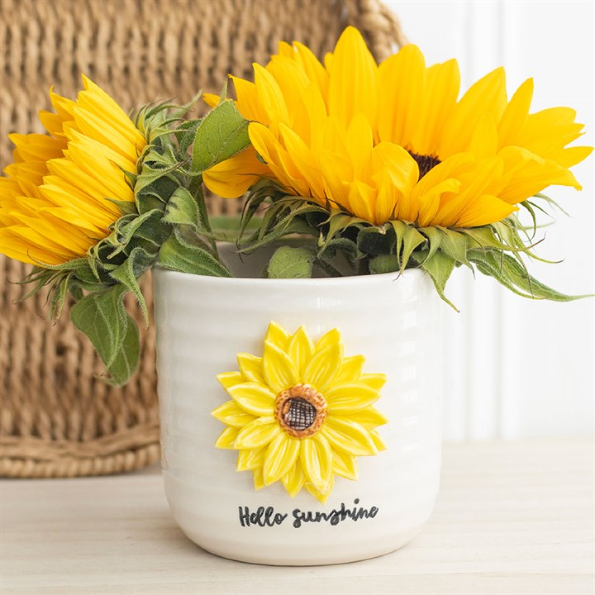 Sunflower plant pot