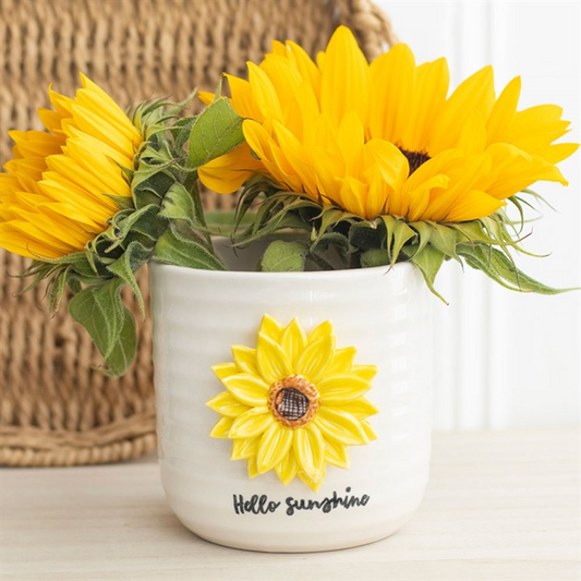 Sunflower plant pot